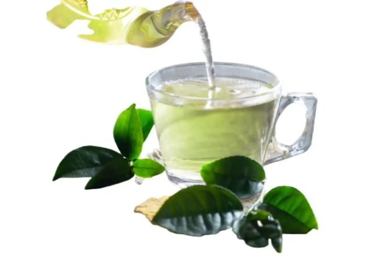 Green Tea - Cup