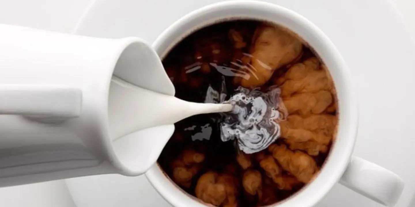 أمريكي بالحليب - صغير