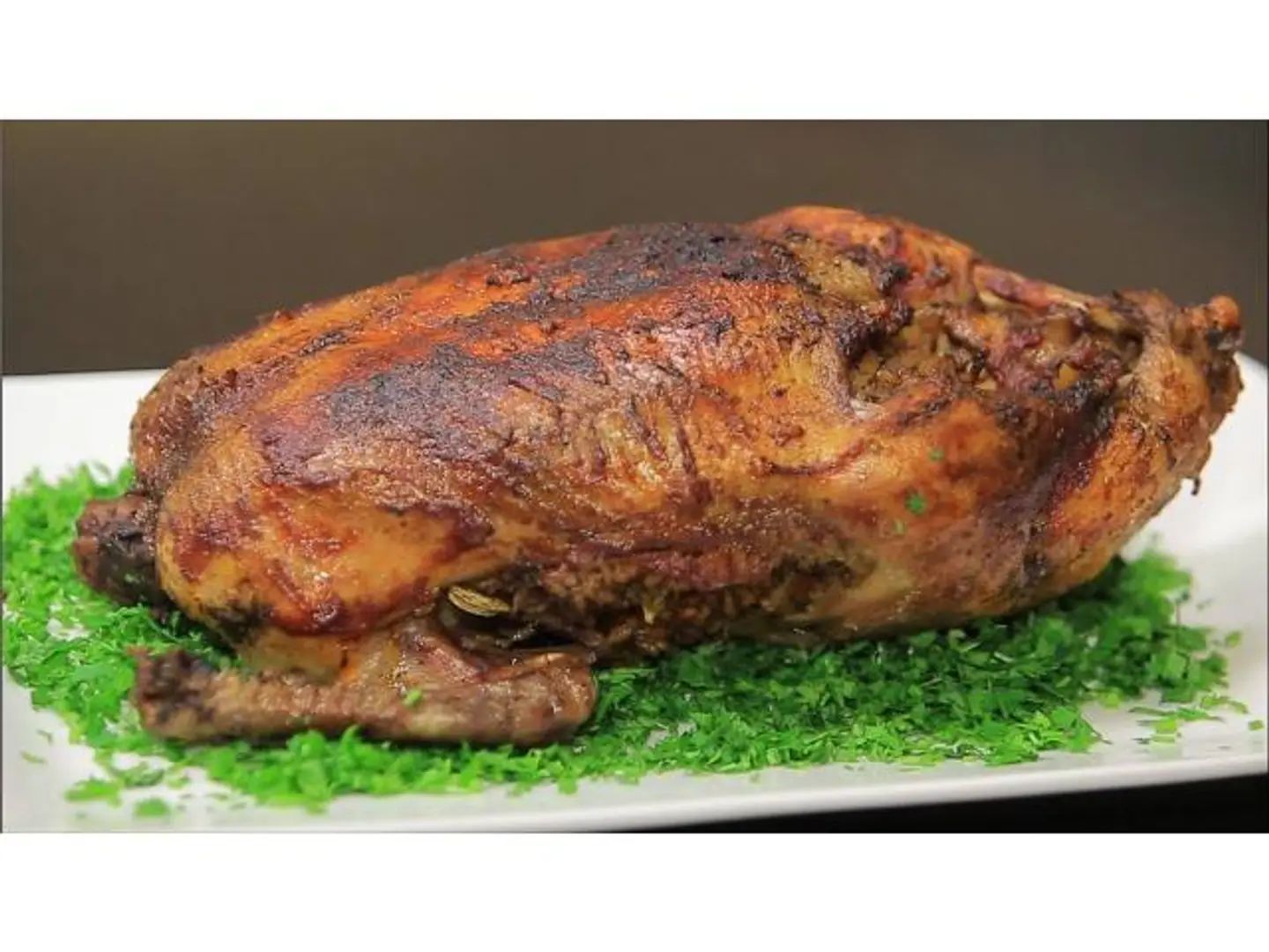 بط مصري - ربع