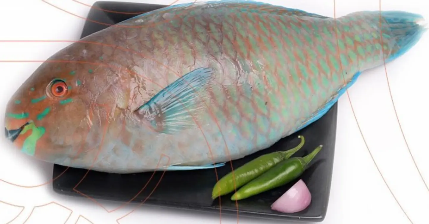 Harid Fish - 500 Grams