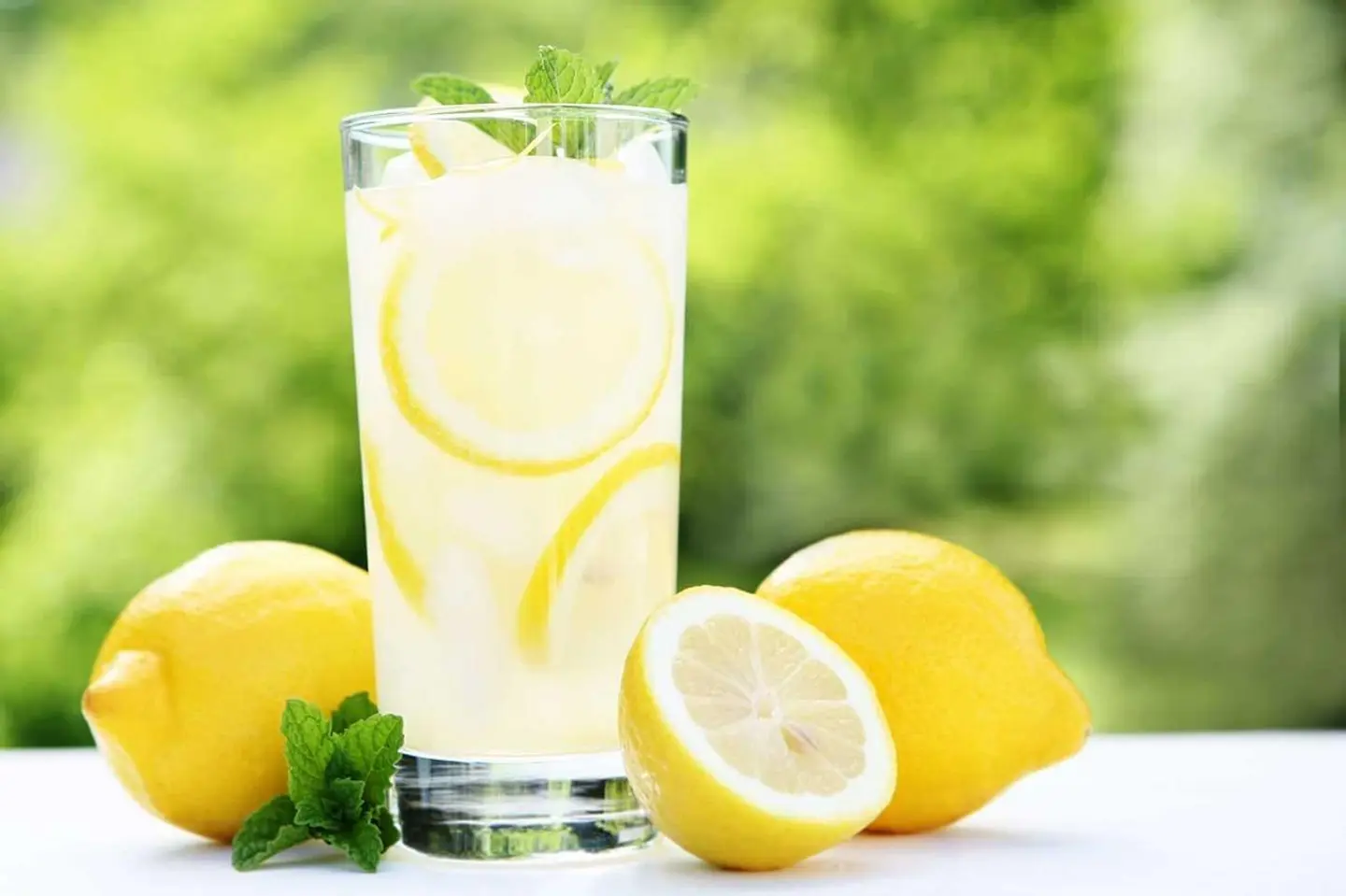 Lemon - Large