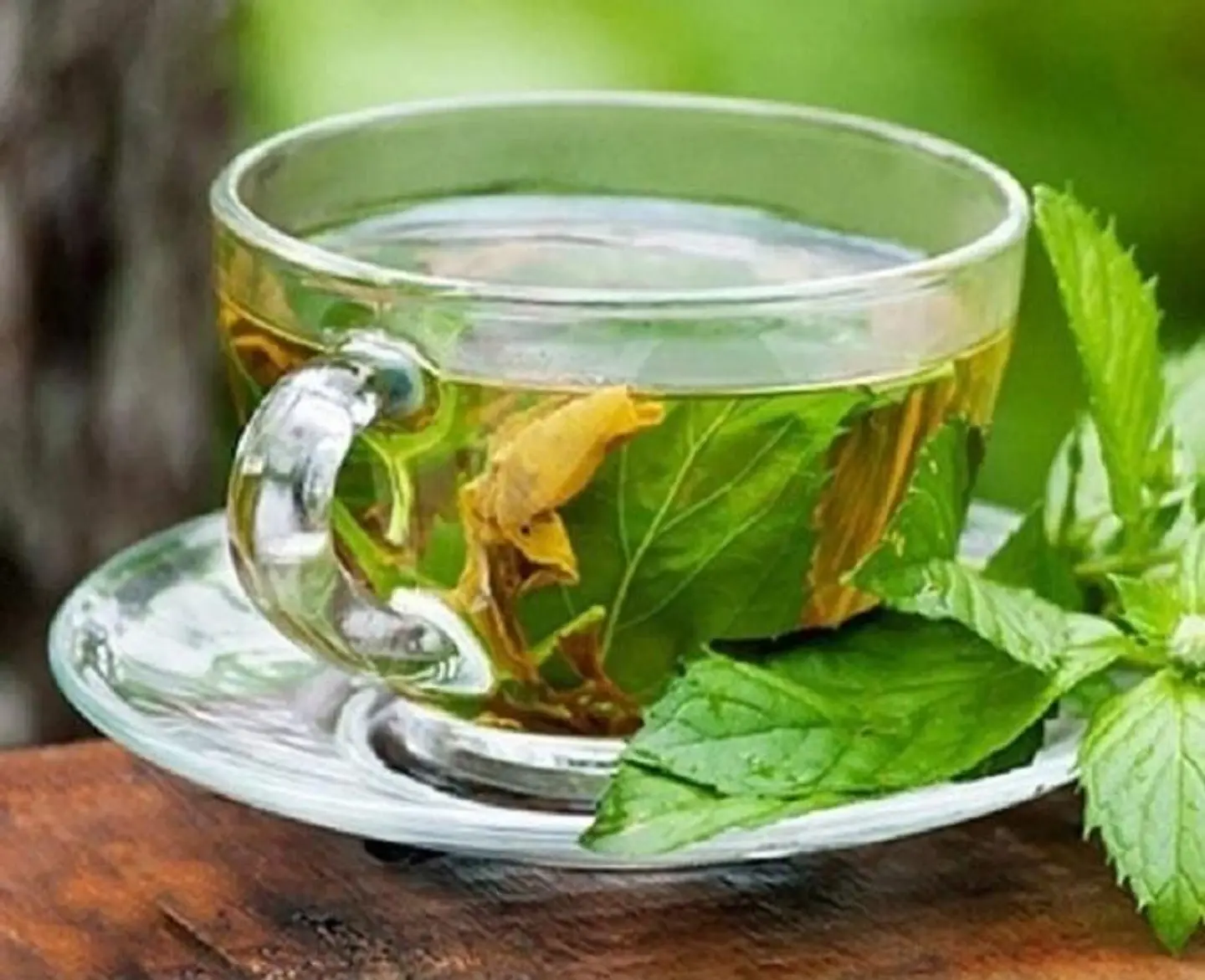 Green Tea - Large