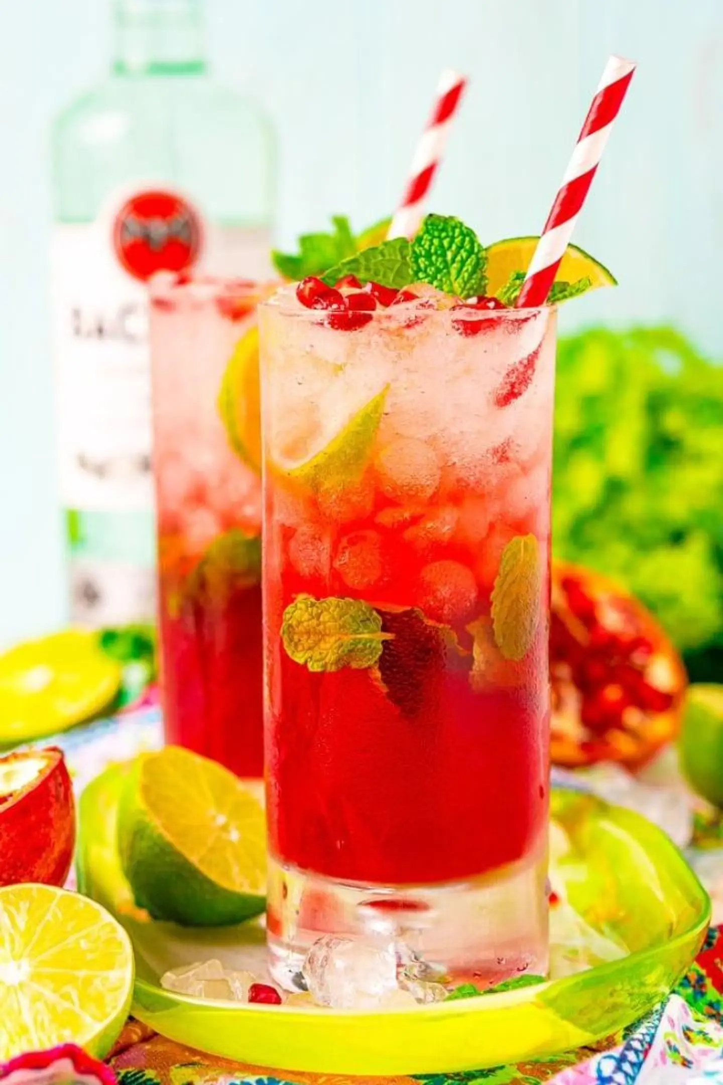 Pomegranate Mojito - Small