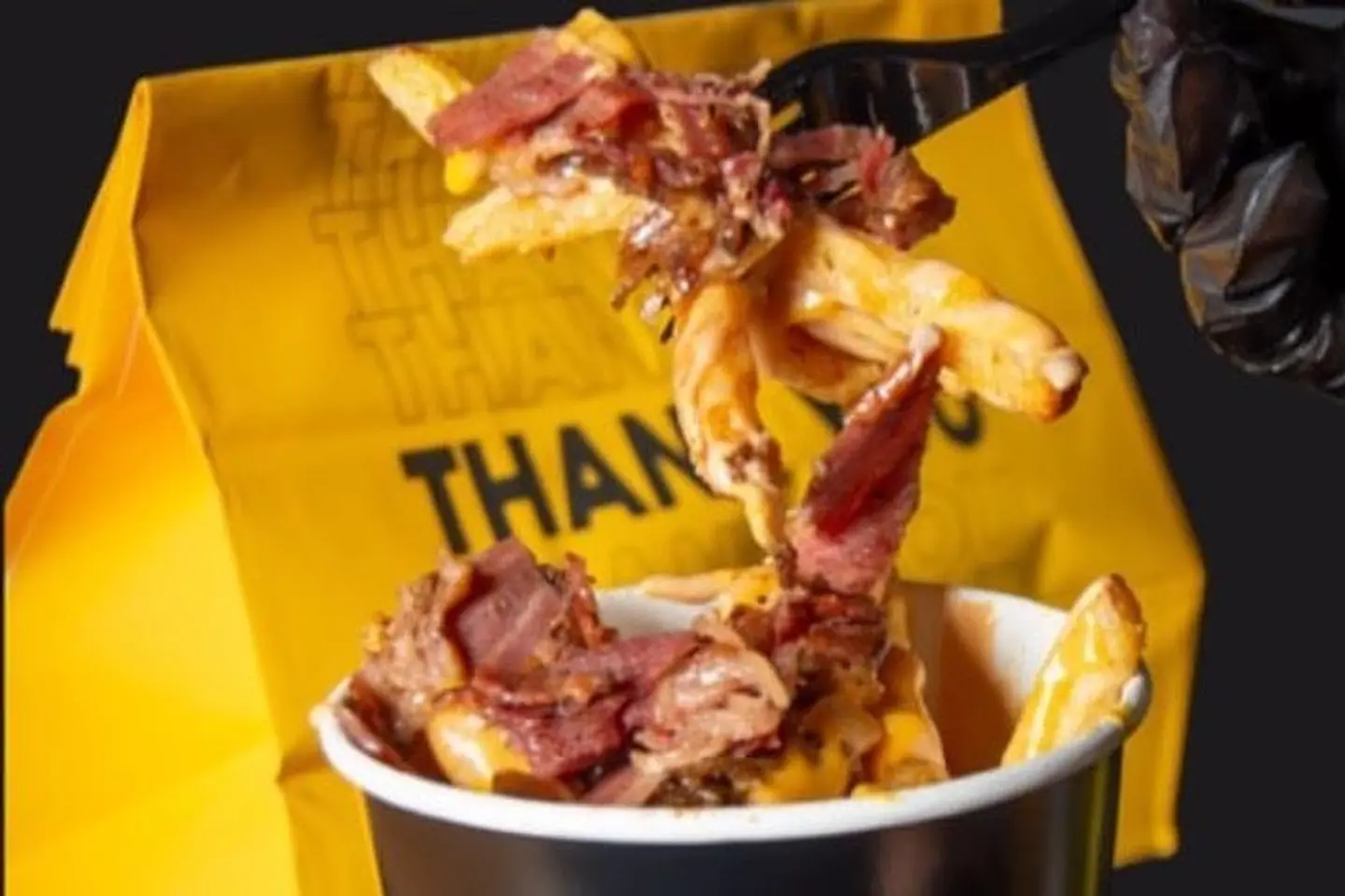 Bacon Lab Fries - Small