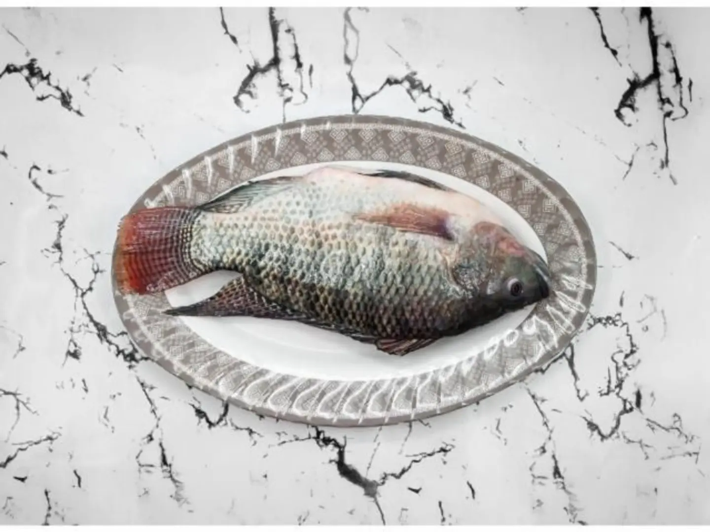 Tilapia - 500 Grame