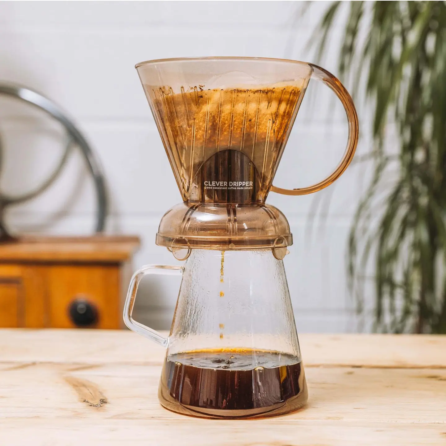 Cold Clever - Regular Blend