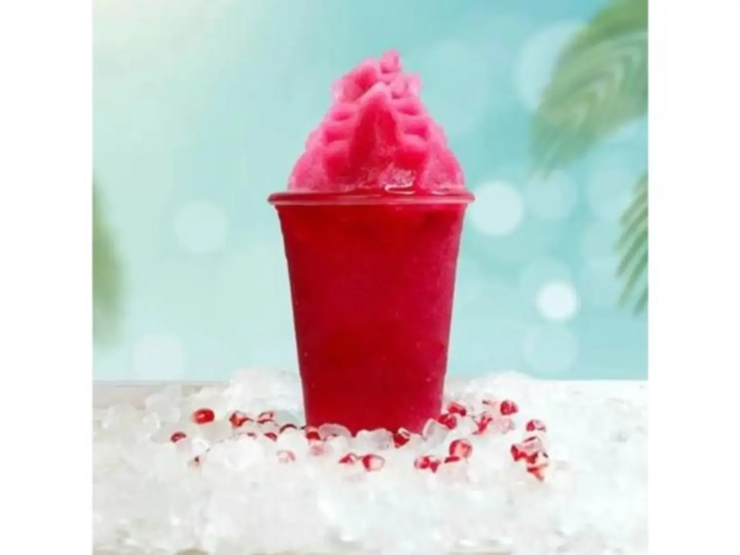 Pomegranate Slush - Small