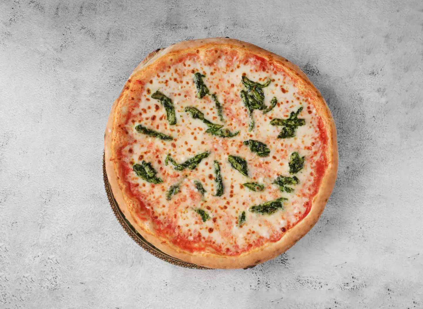 Chicken Pesto - Medium