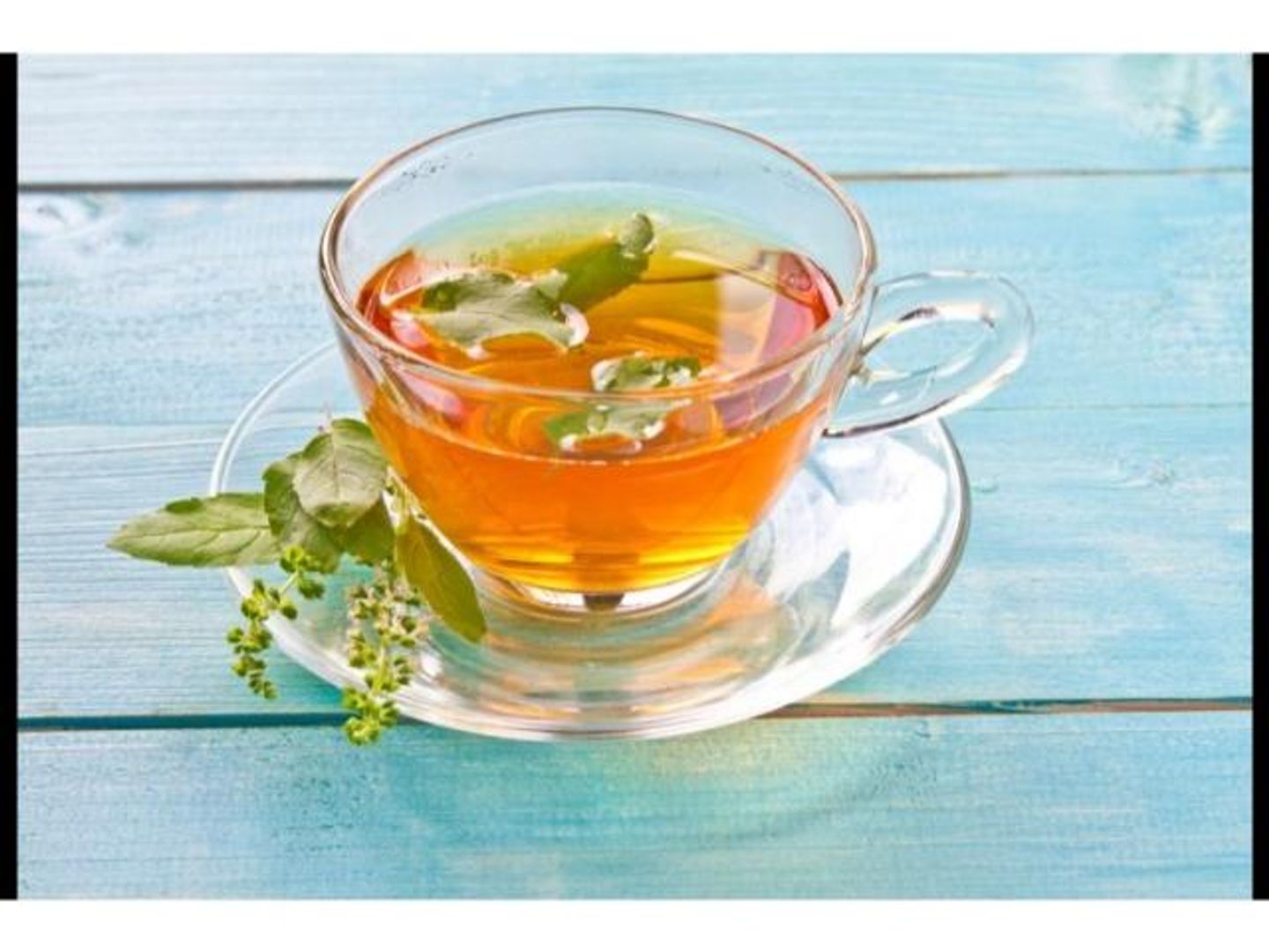 Tea - Basil
