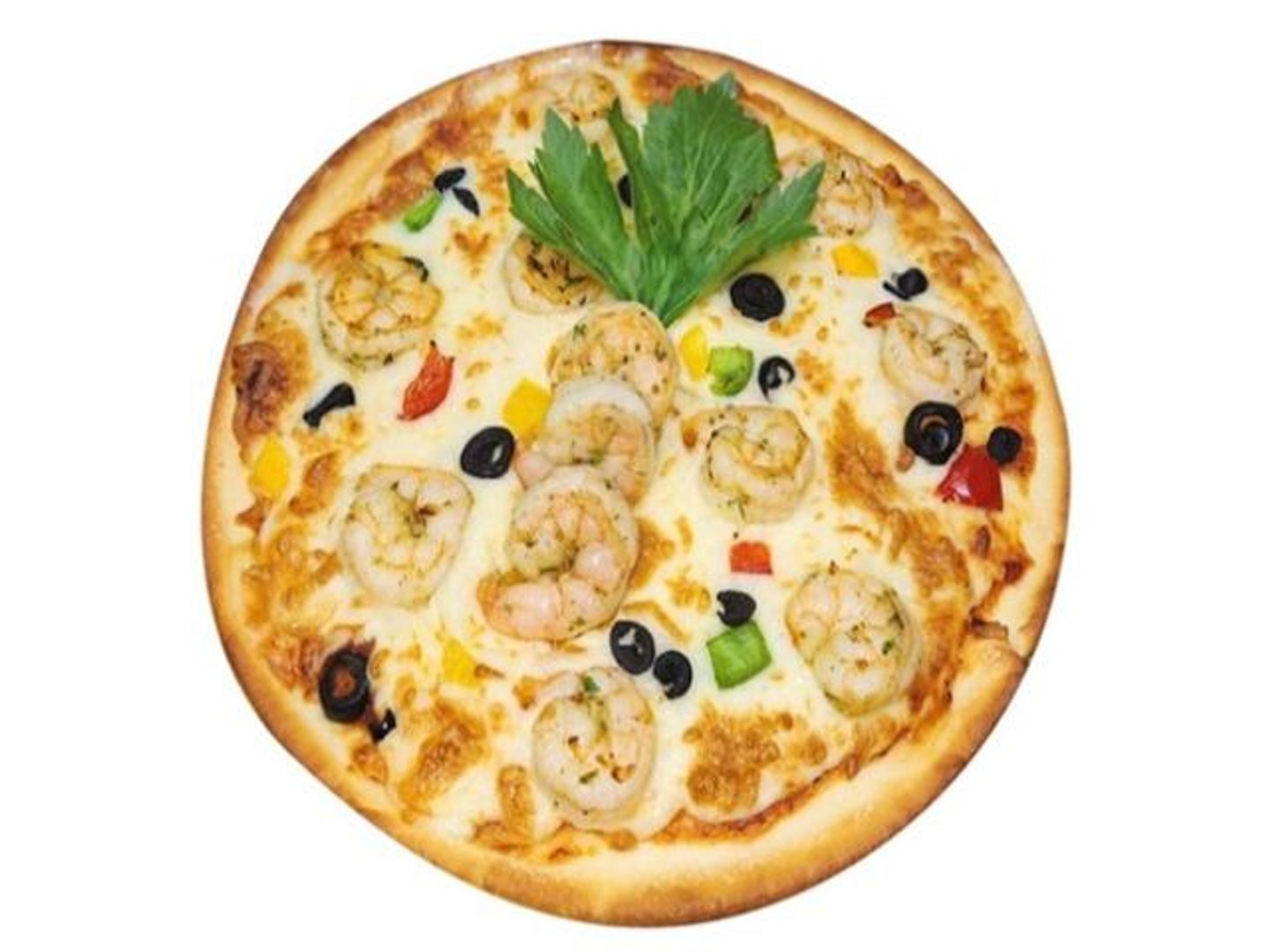Plain Shrimp Pizza - Small