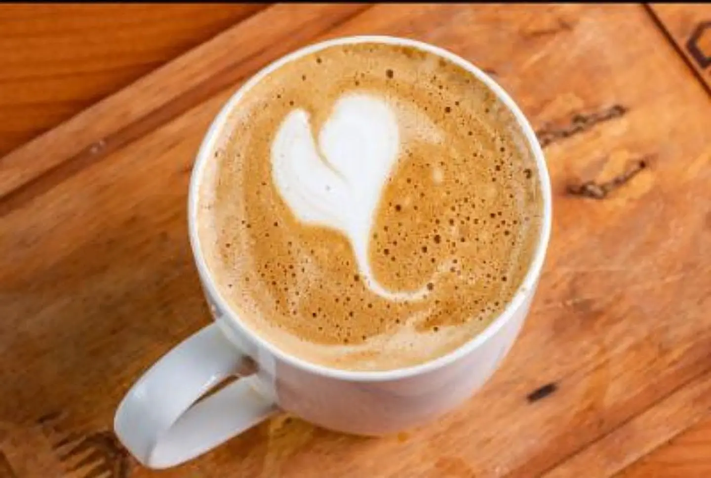 Cappuccino - Small