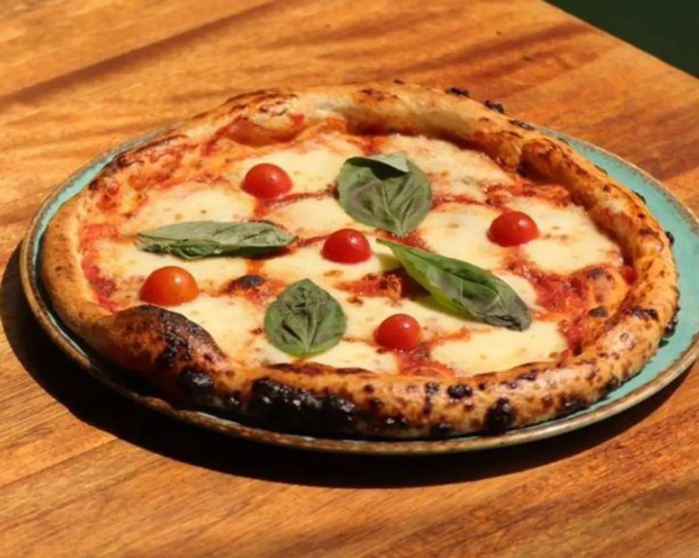 نابوليتان - صغير