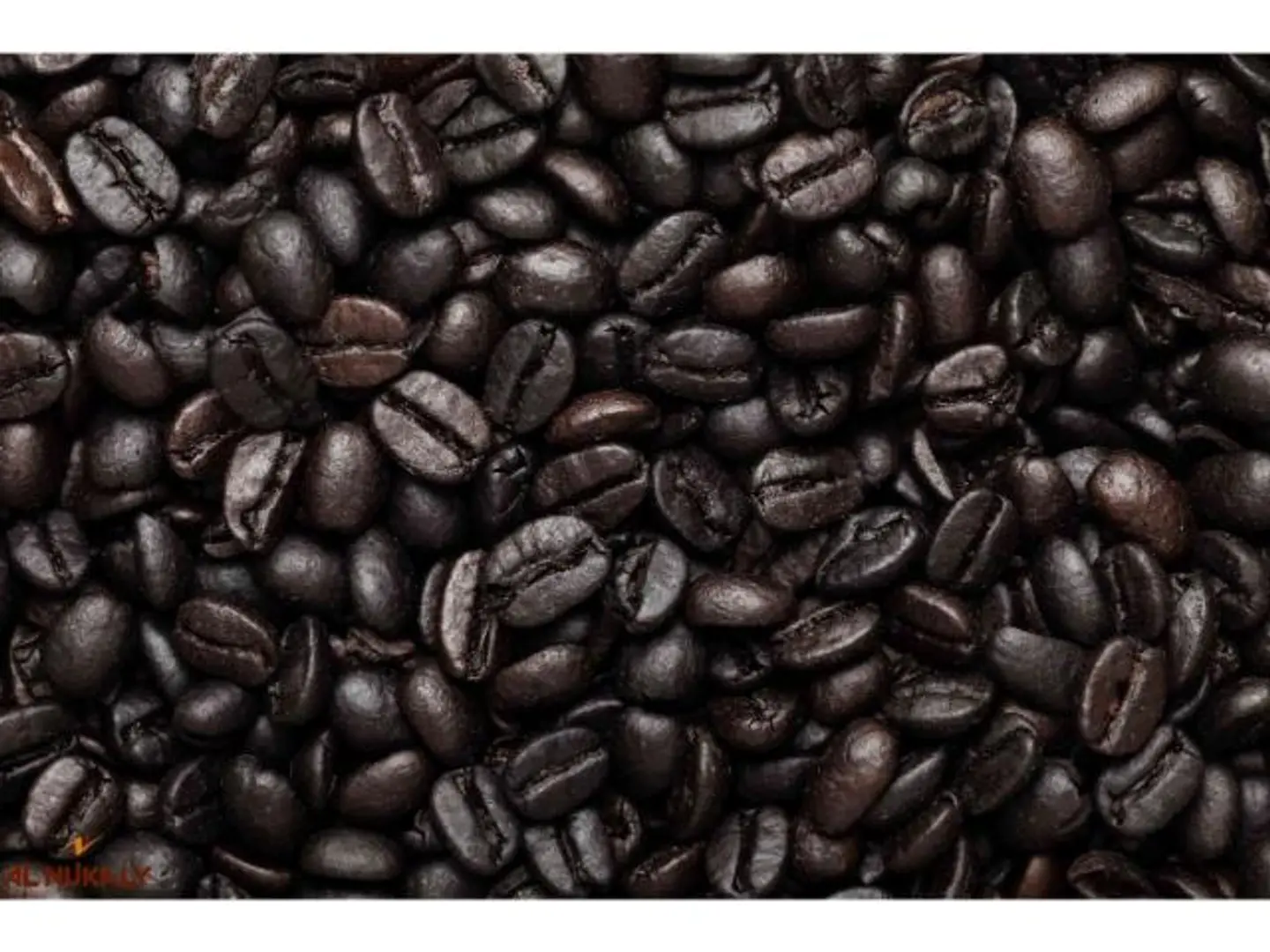 Dark Roasted Brazilian Coffee Beans First Grade - 250 Grams