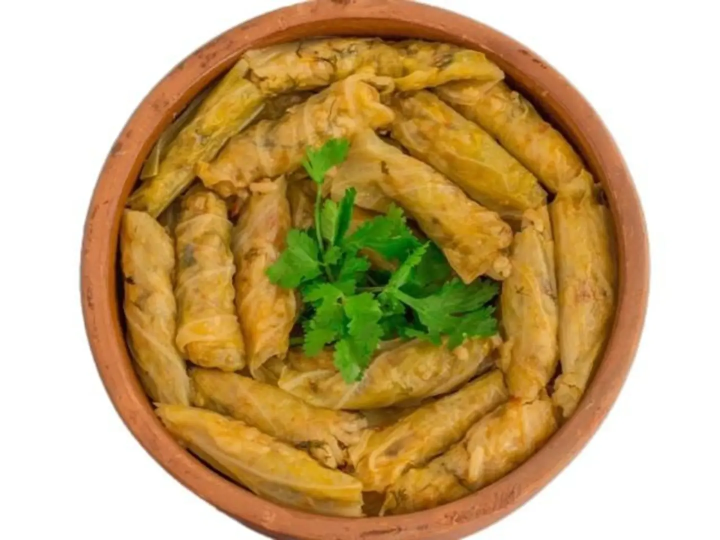 ملفوف مصري - كبير جدا