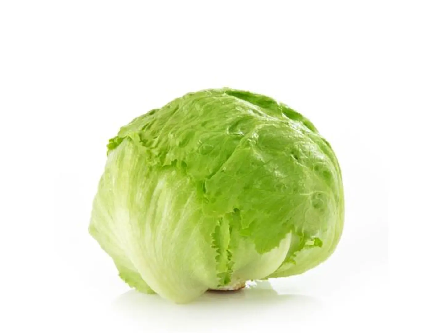 Iceberg Lettuce - Half Kilo