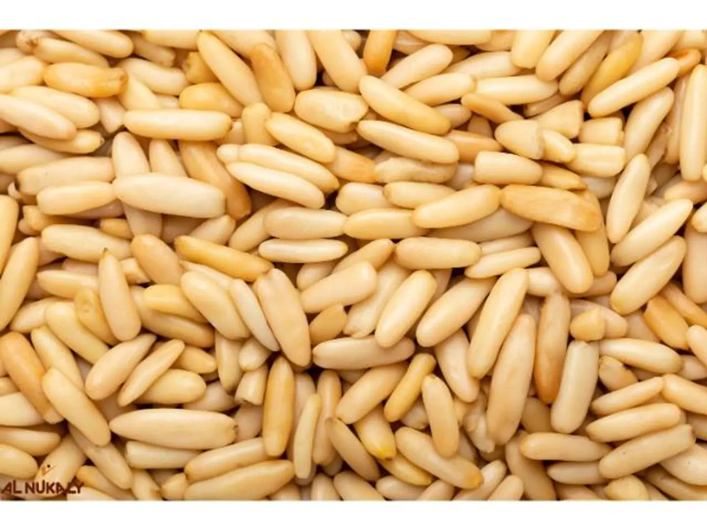 Pine Nuts - 250 Grams
