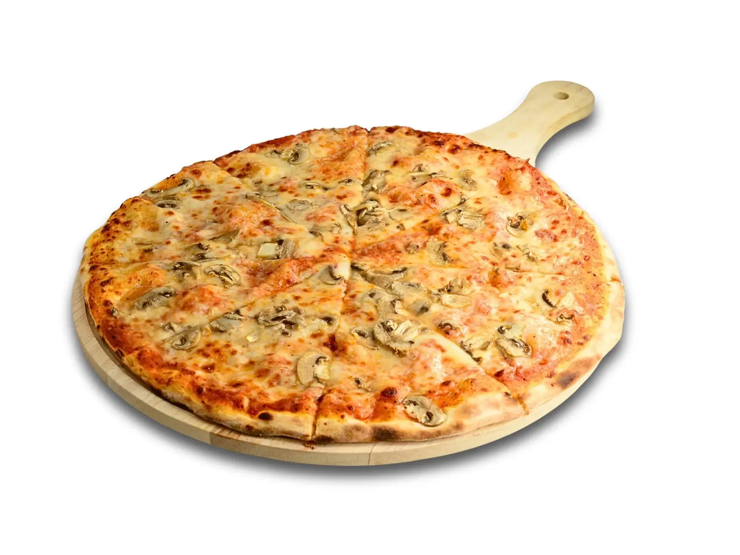 Mushroom Pizza - Medium