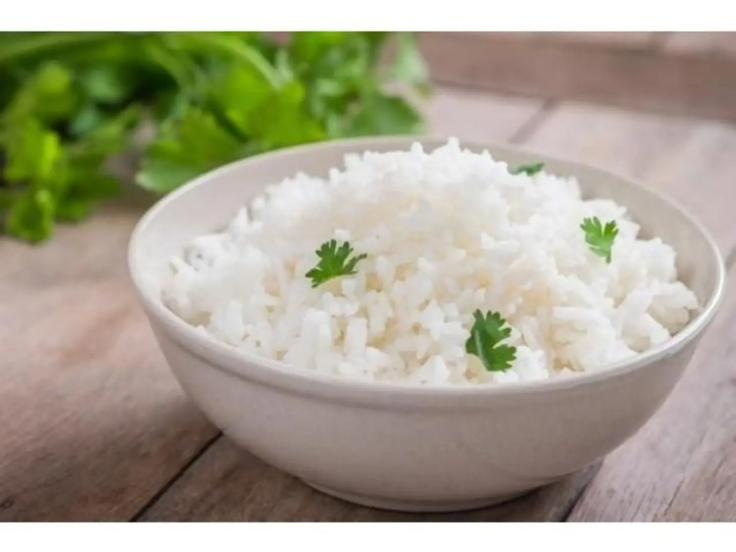 Rice Dish - Small