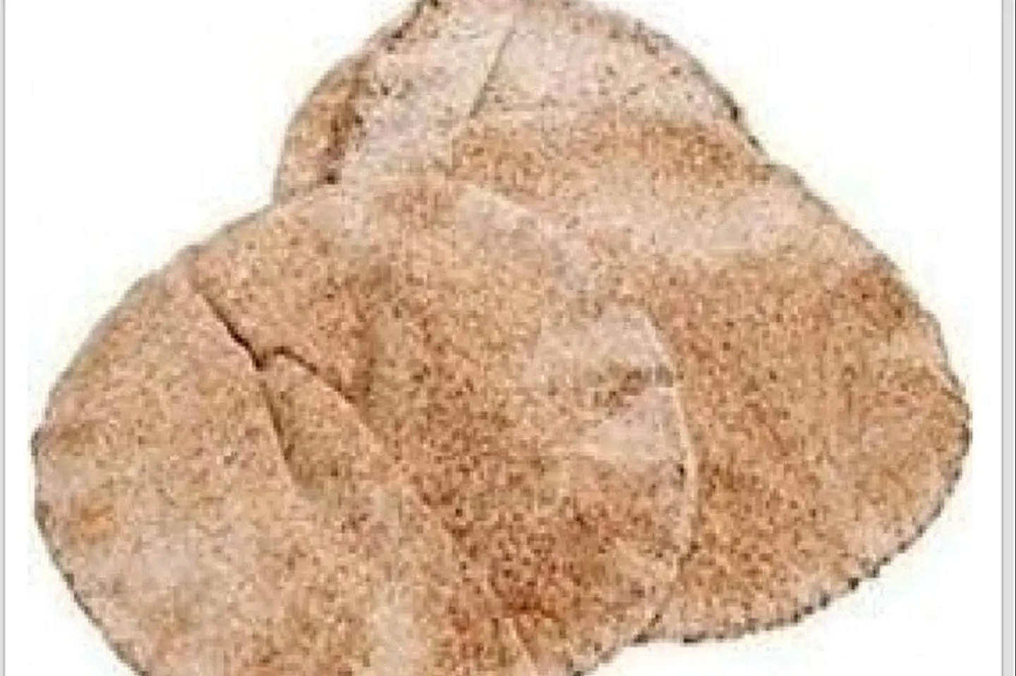 Bread Mafrod - White