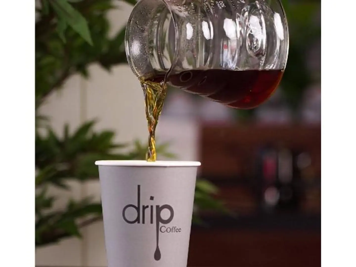 Today's Coffee - Small