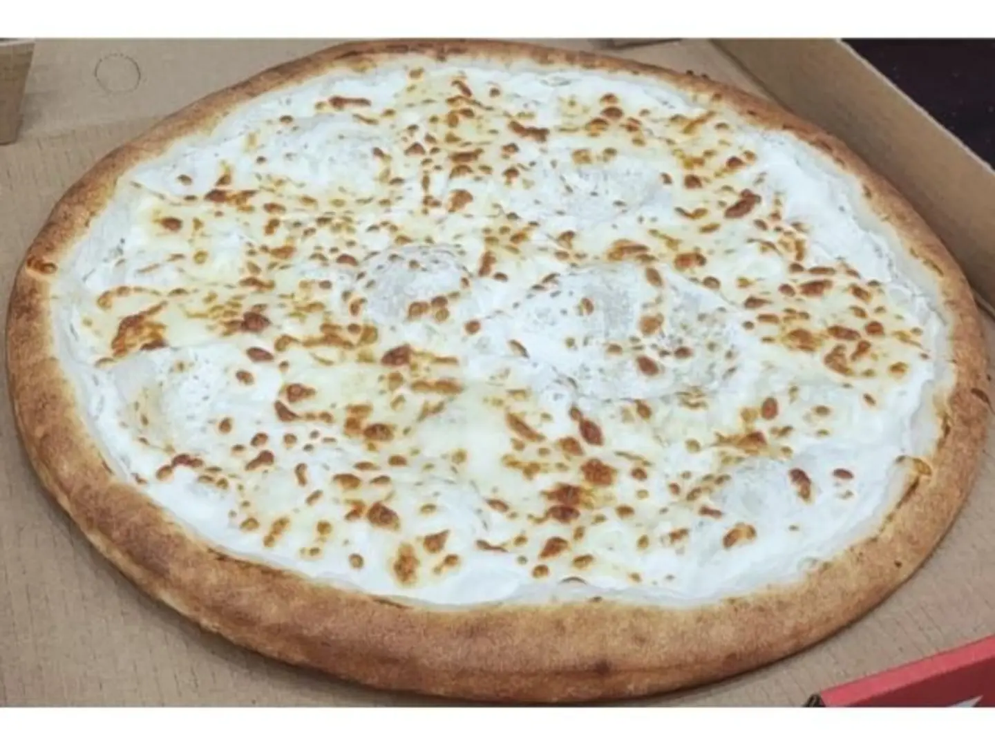 Ash Albulbul Pizza - Medium