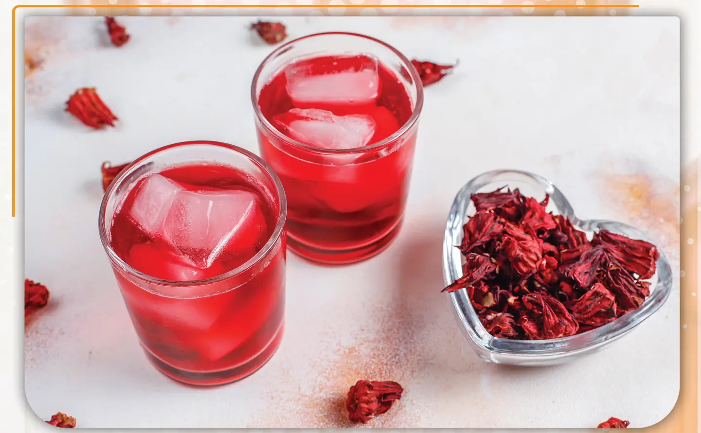Ice Roselle - Medium