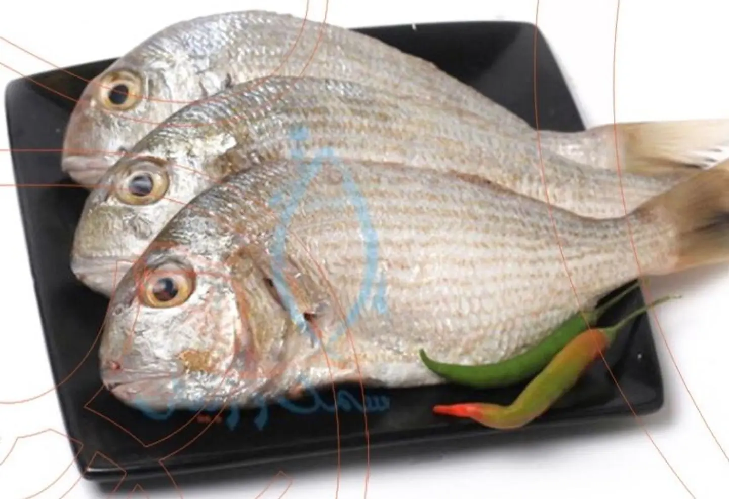 Denis Fish - 500 Grams