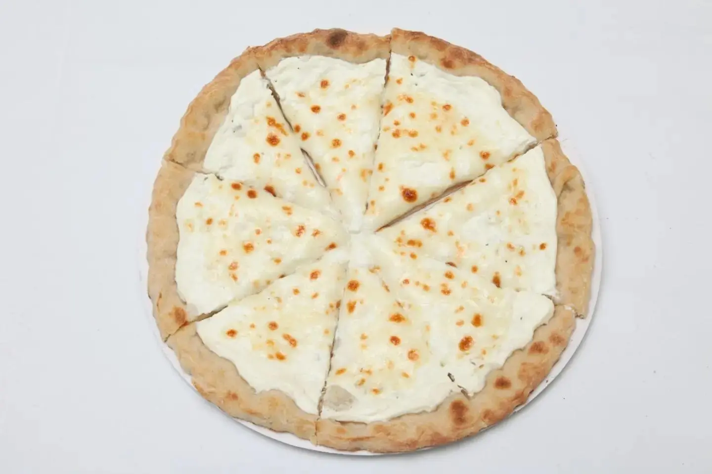 Ash Albulbul - Medium