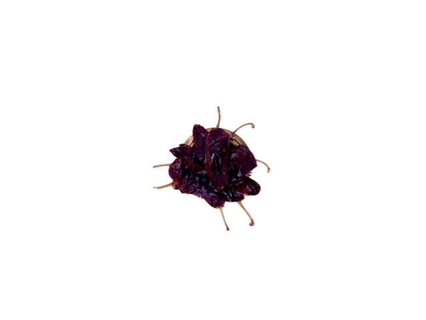 First Grade Adeni Pepper - 250 G