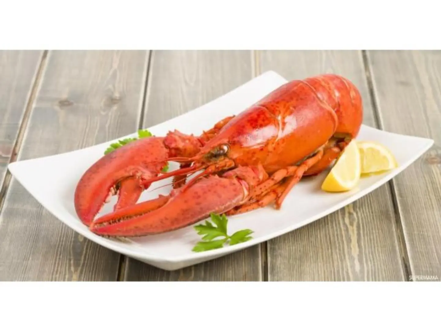 استاكوزا - حبة استاكوزا