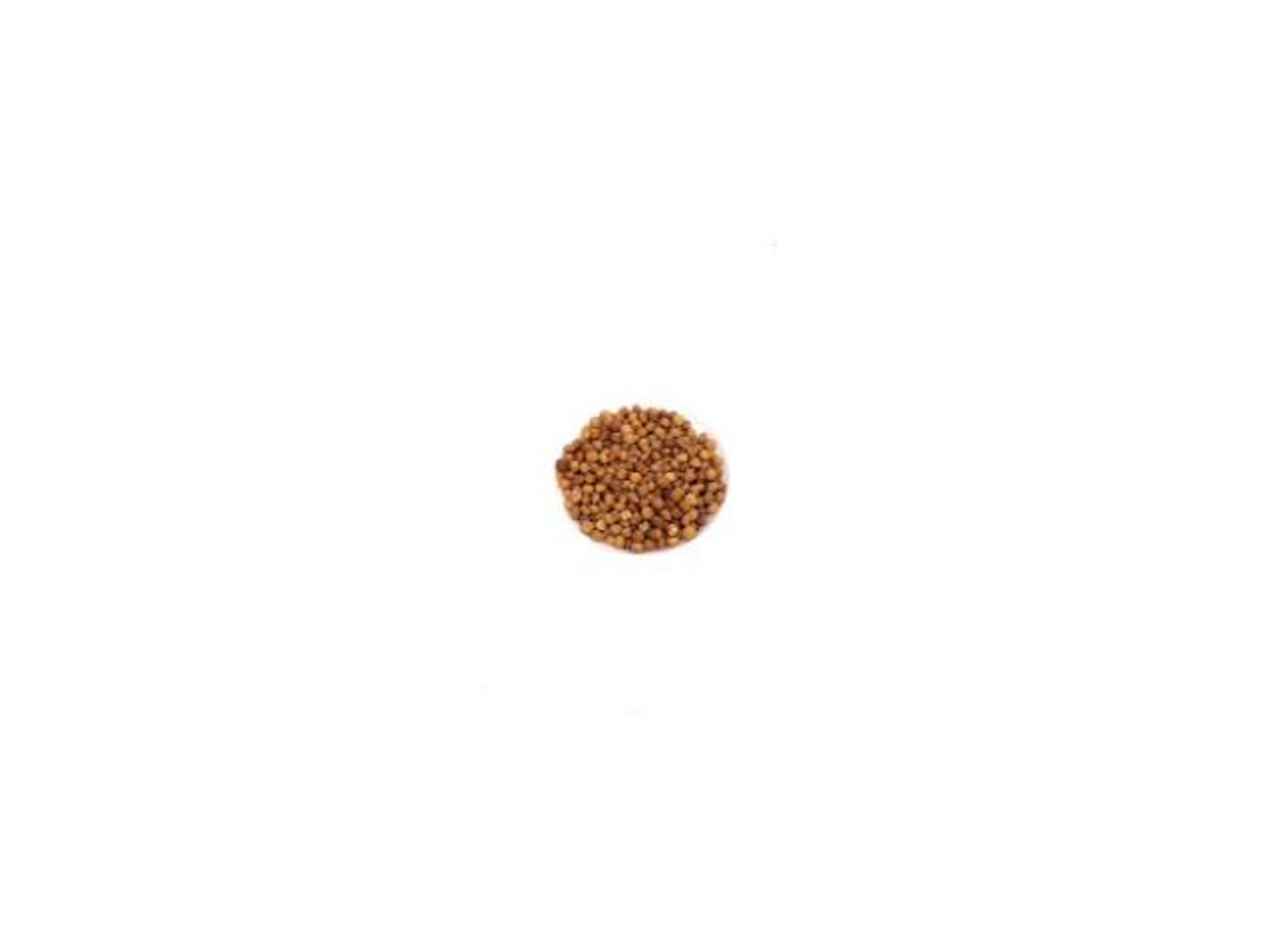 Akbi Seeds - 100 G