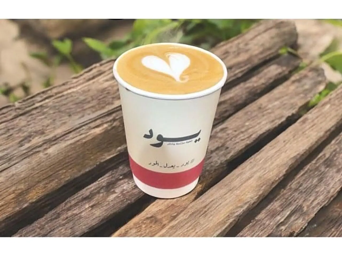 Cappuccino - Medium