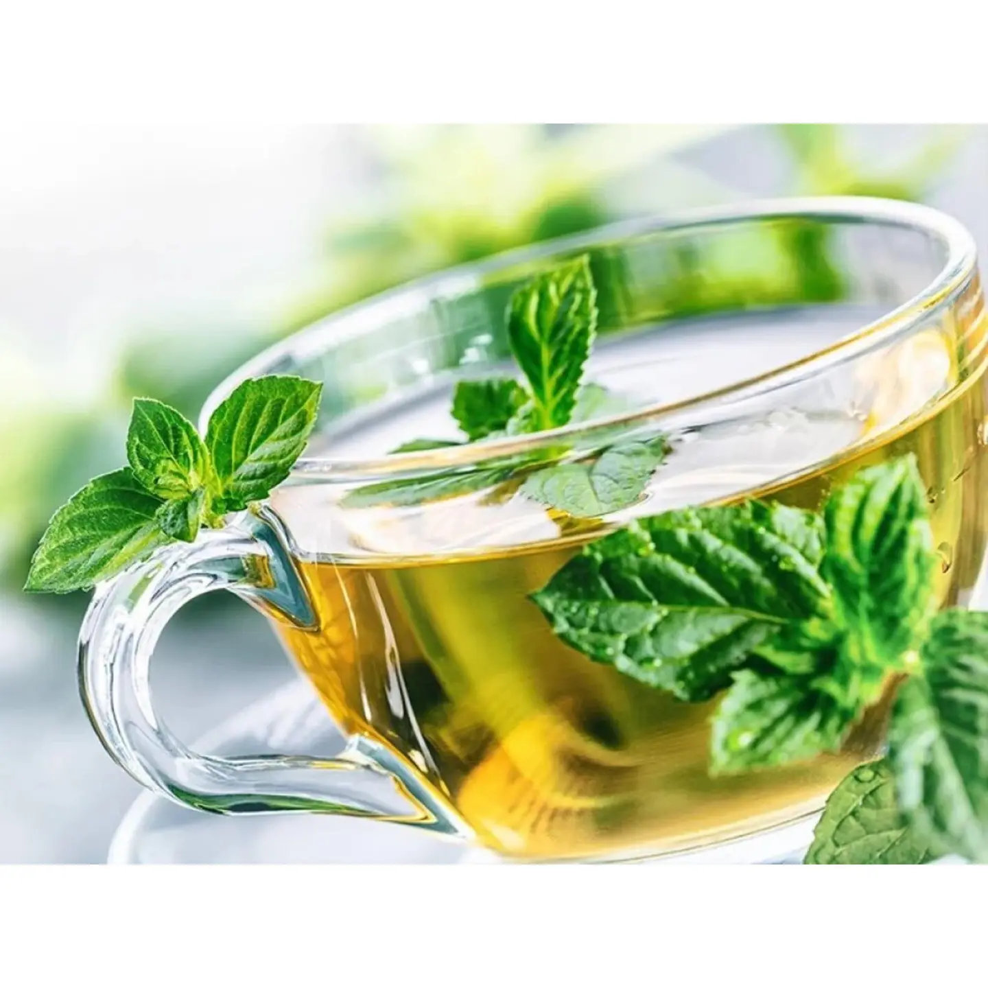 A Cup Of Mint - Small