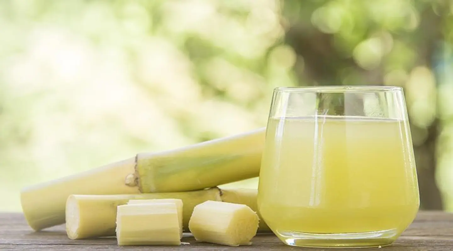 Sugarcane - Small