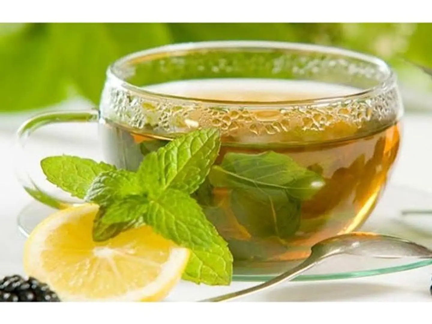 Tayifi Tea - Small
