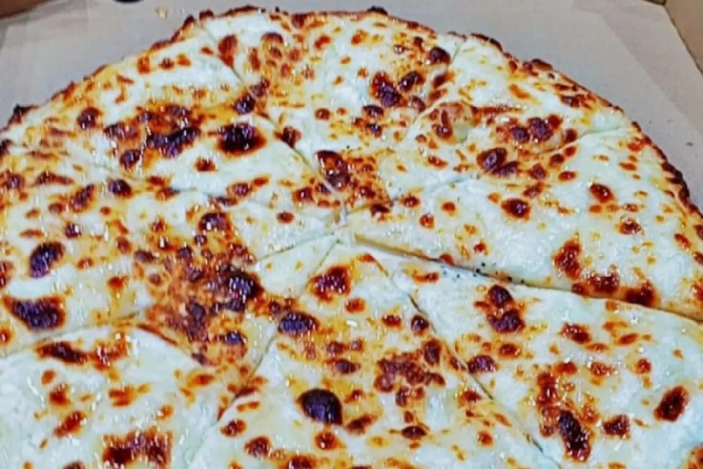 Ash Albulbul - Small