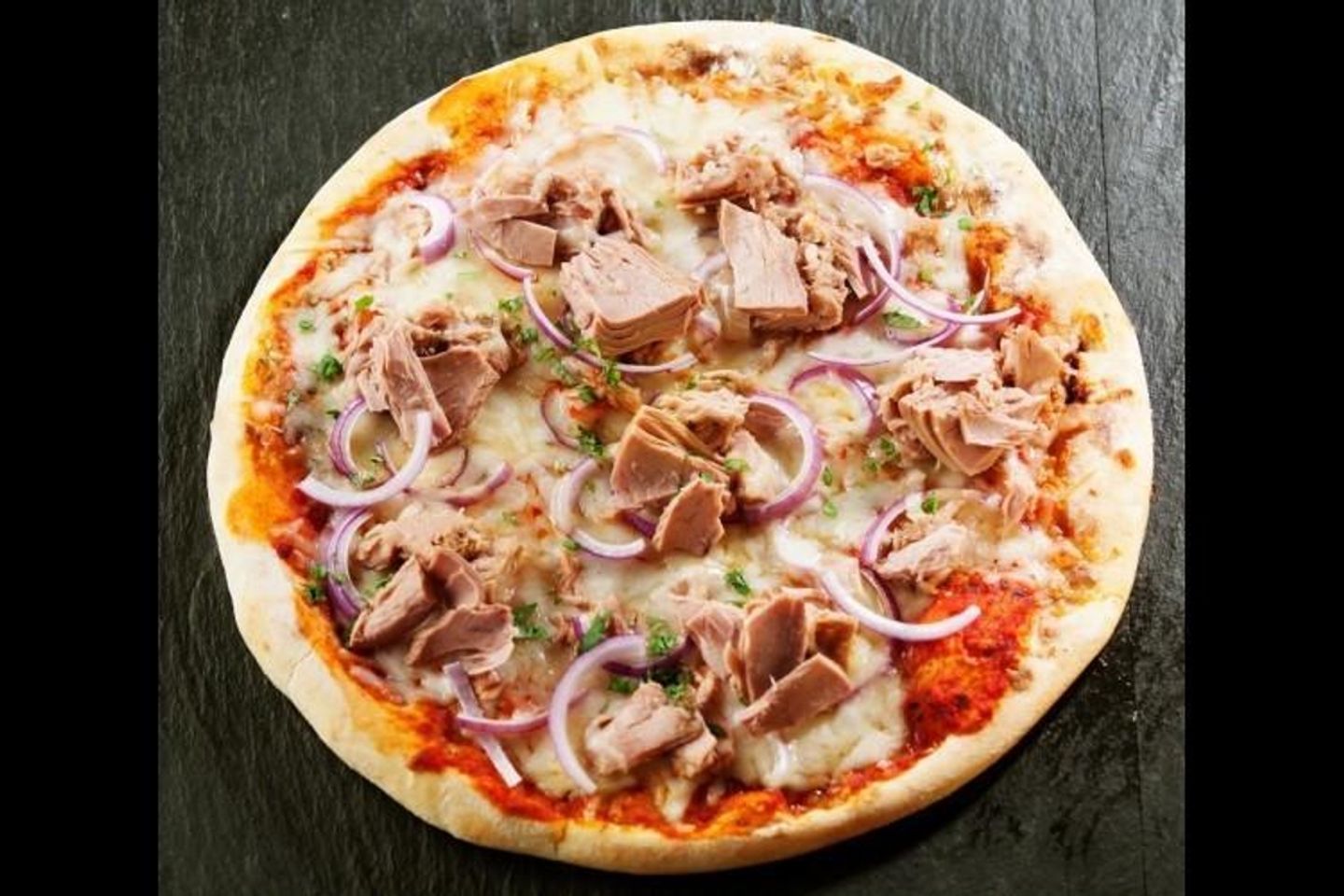 Plain Tuna - Small