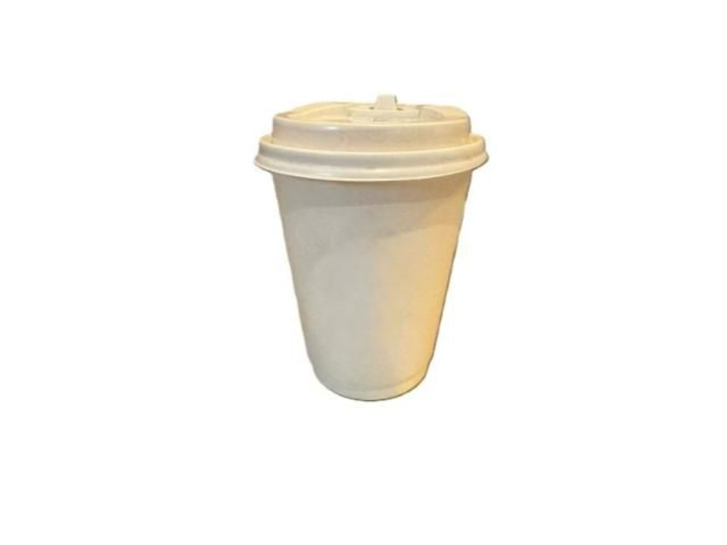 نعناع طائفي - صغير