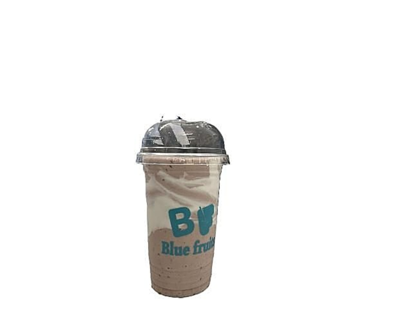 Blueberry - M