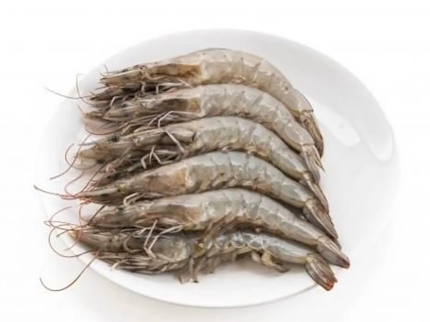 Shrimp - 250 Grams