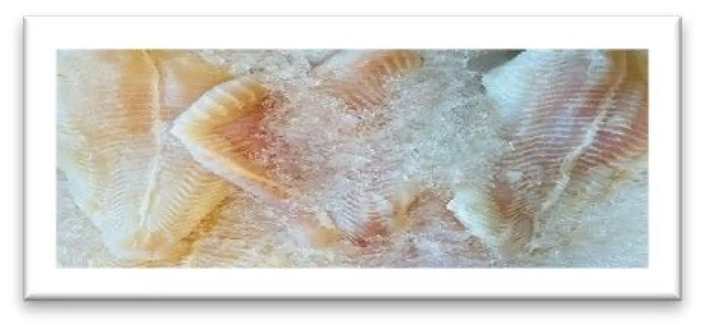 Fried Fillet - 0.500 Kg
