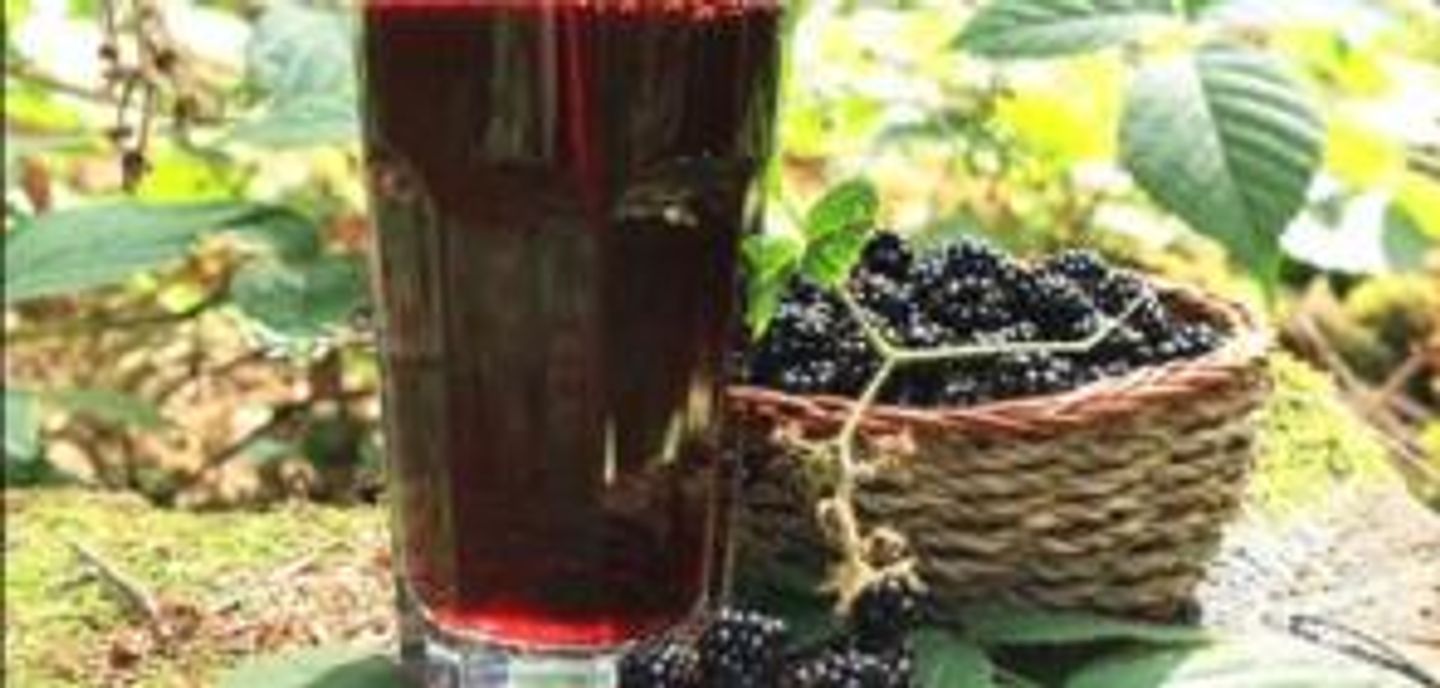 Syrian Berries - Medium