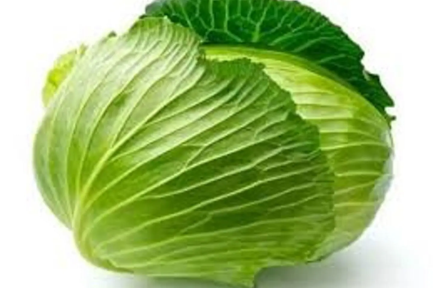 Green Cabbage - Kilo