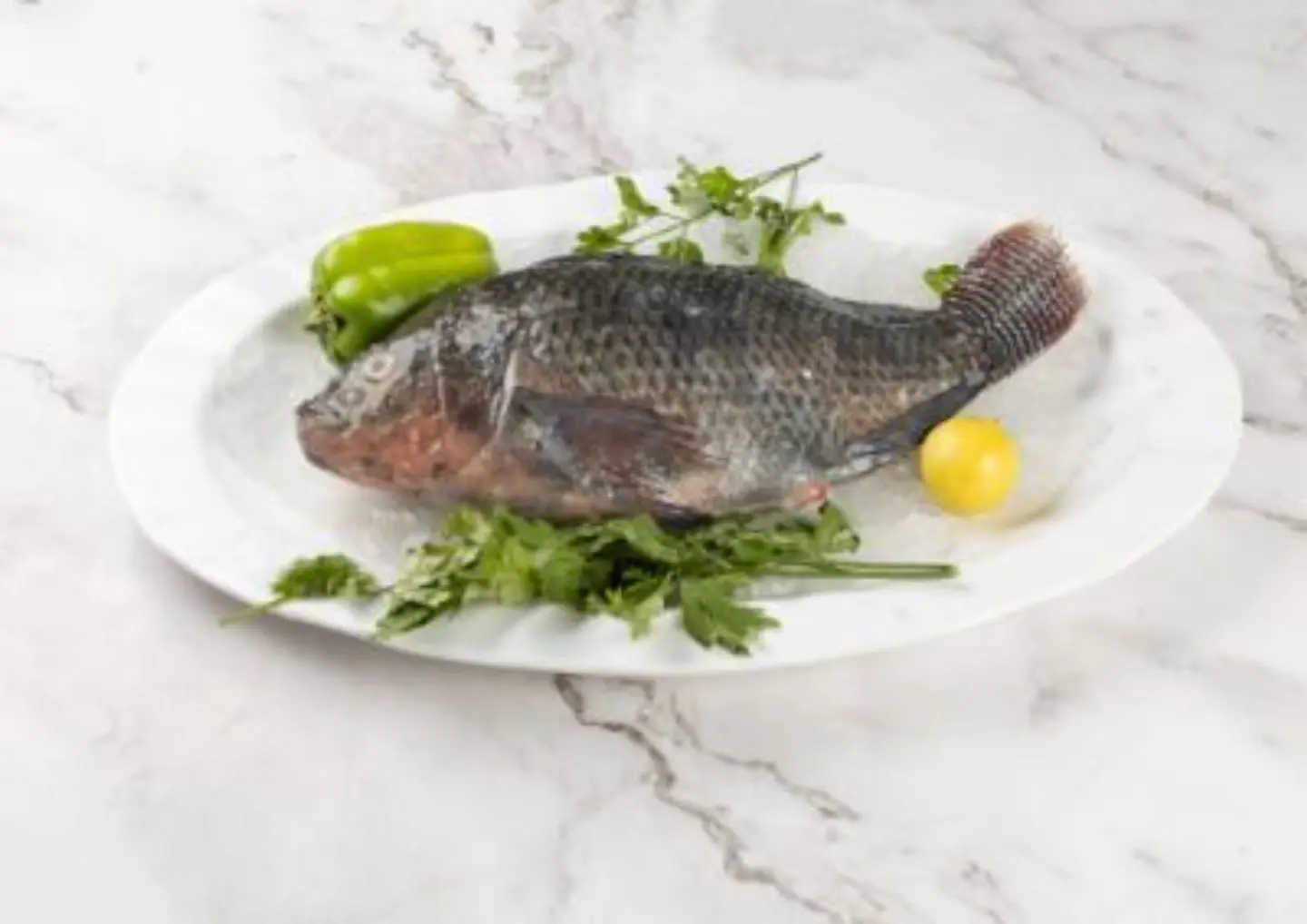 Tilapia - 500 Grams