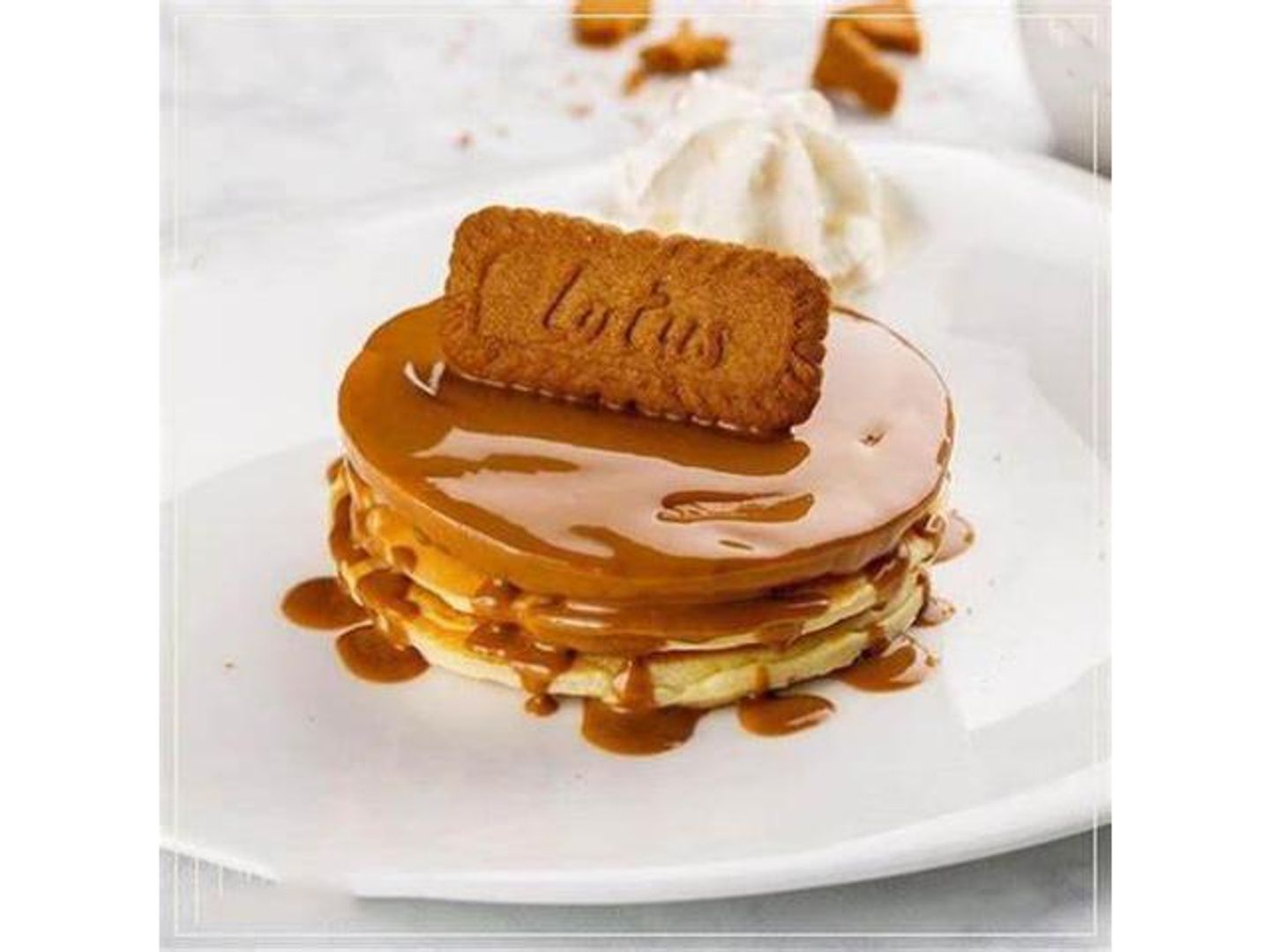 Lotus Pancake - Small