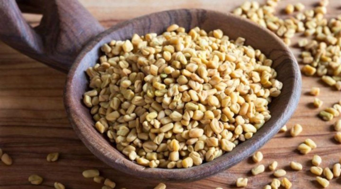 حلبة - صغير