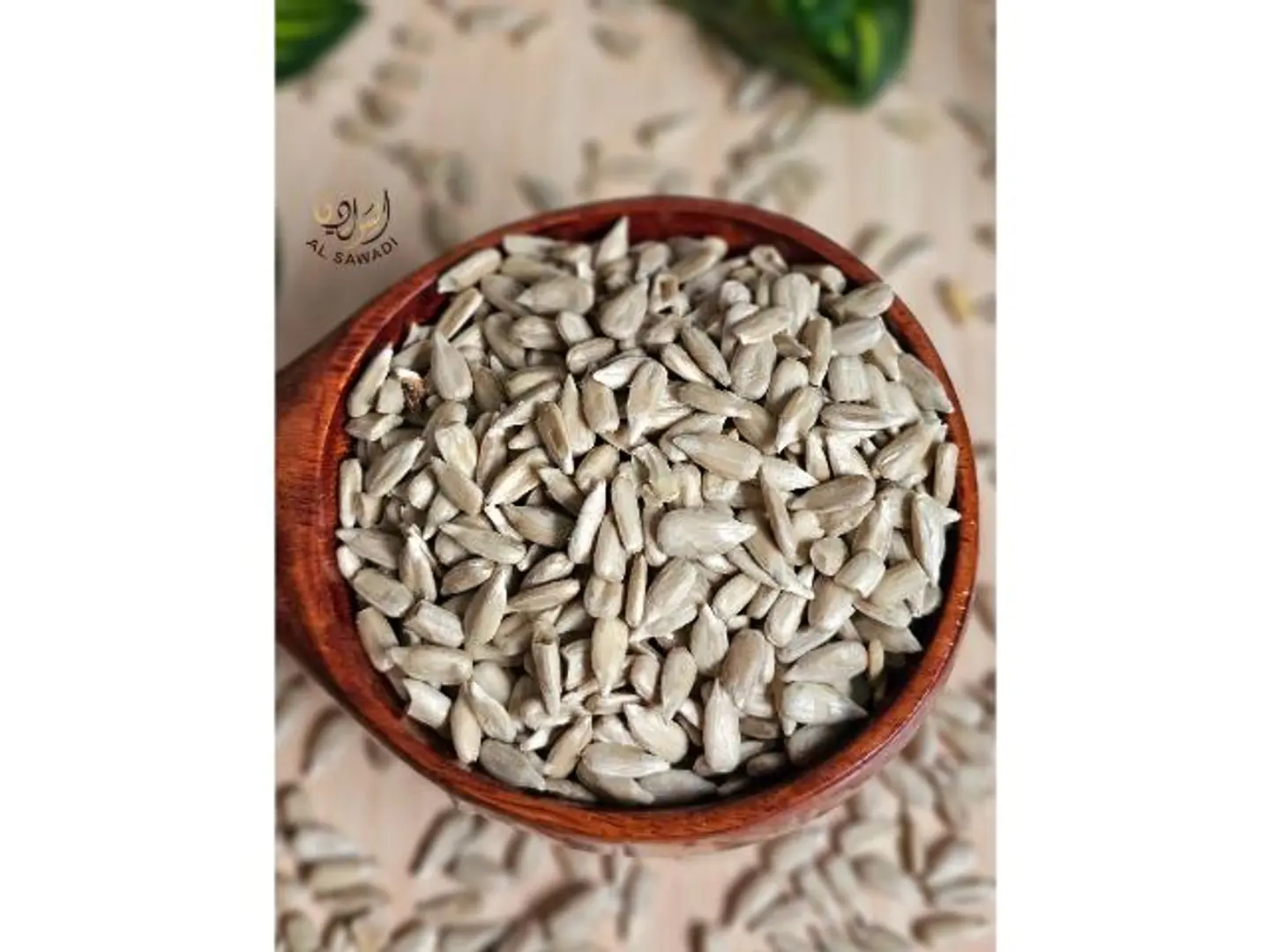 لب شمسي - 500 جرام