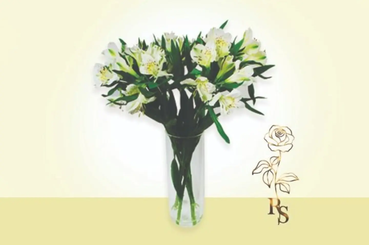 فازة الستروميريا - أحمر
