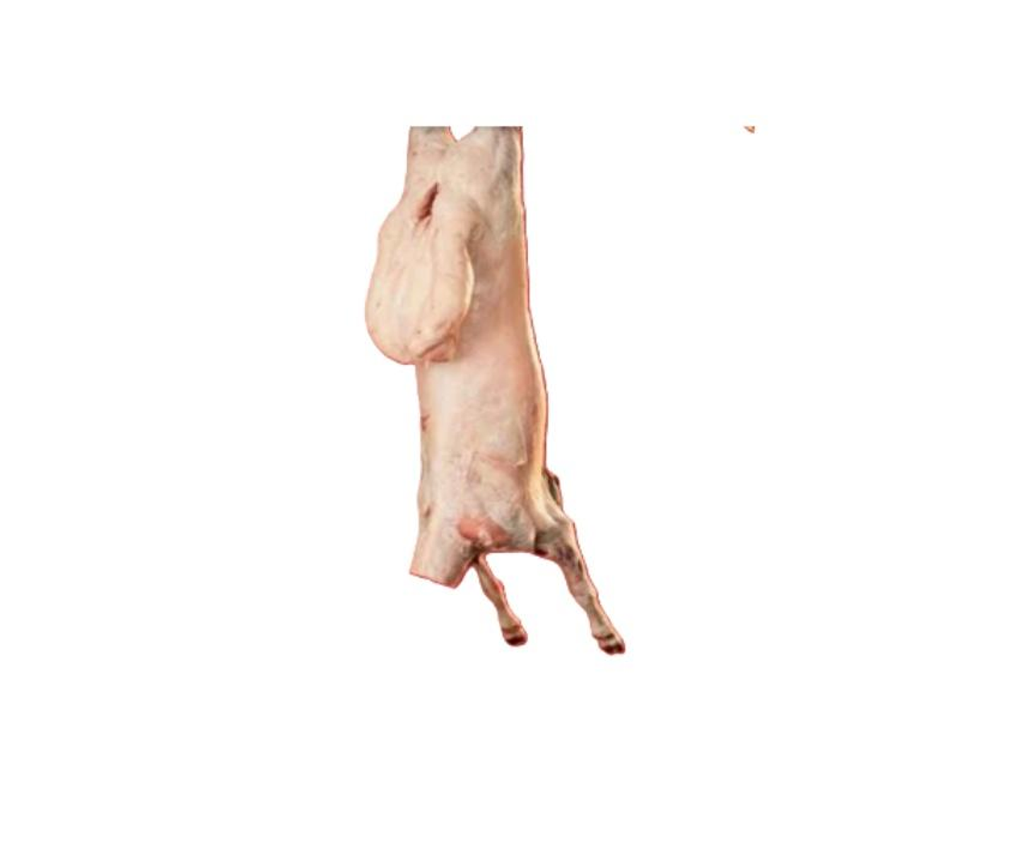 Local Hary Box - 6 Kilo