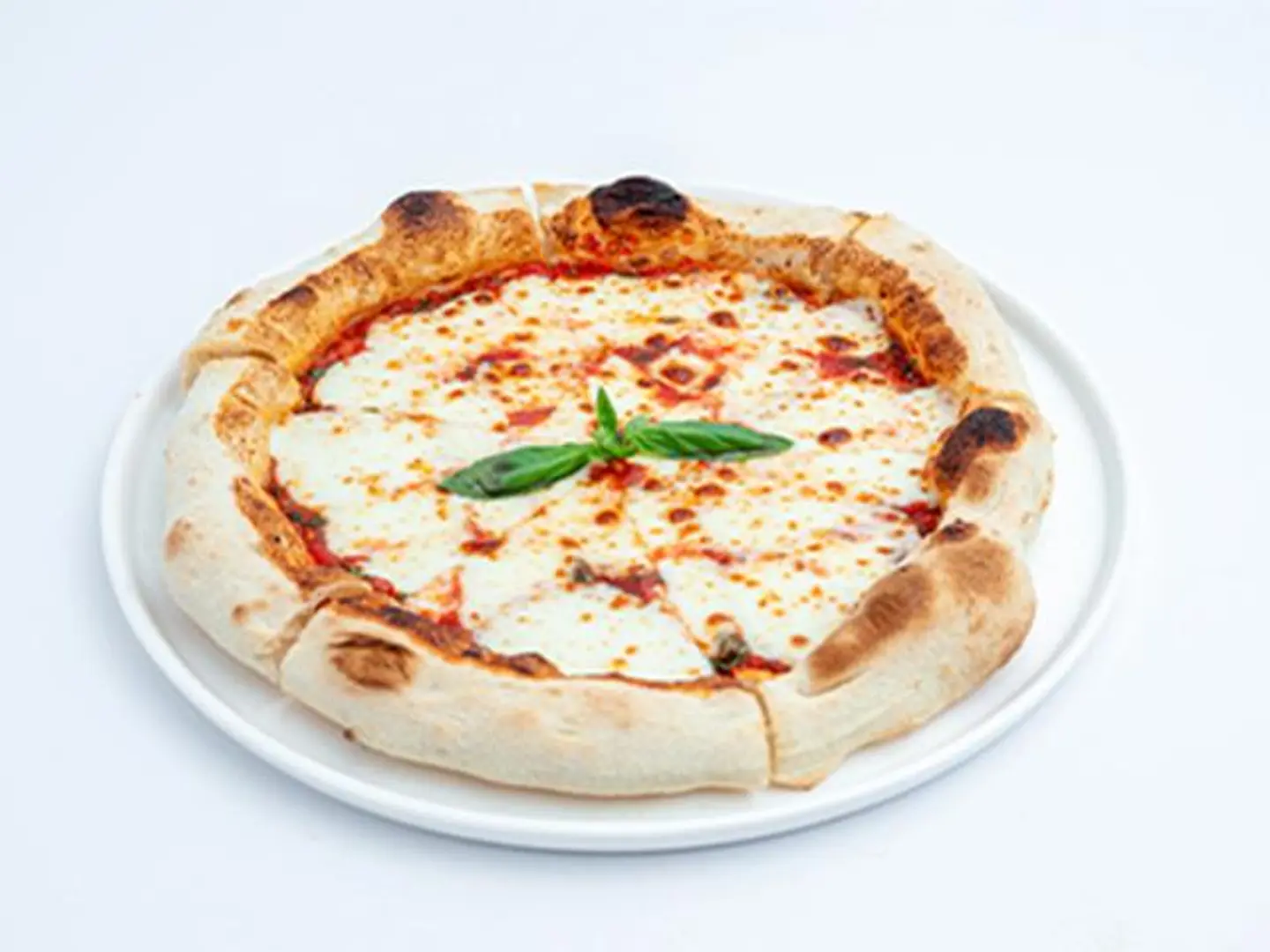 مارغريتا - وسط